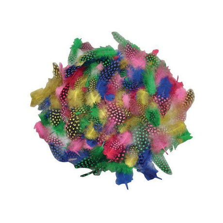 Feathers mixed colours 100/pack