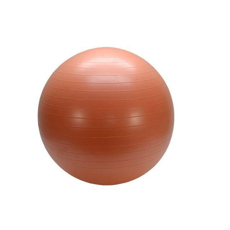 Gym ball 55cm