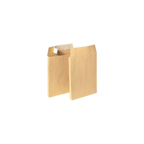 Envelope LYRECO C4 229x324x30mm 100/pack