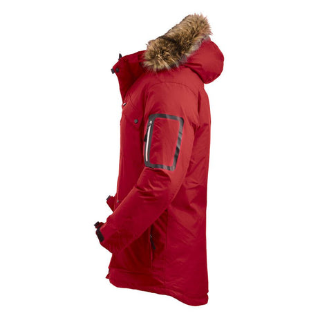Malamute - Red - Image 3