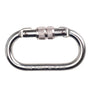 Screwgate Carabiner - Silver