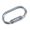Twist Lock Carabiner - Silver